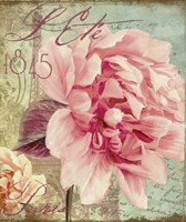 Saisons III Fine Art Print