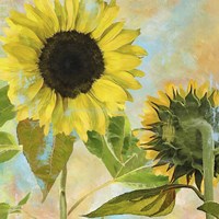 Soleil I Fine Art Print