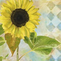 Soleil III Fine Art Print