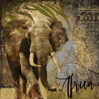 Taste Of Africa III Fine Art Print