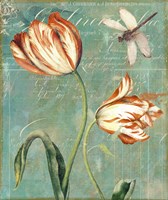 Tulips Ablaze I Fine Art Print