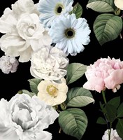 Wallflowers Fine Art Print