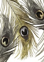 Feather Fashion I Fine Art Print