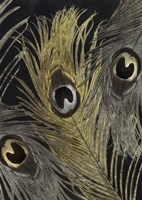 Feather Fashion II Fine Art Print