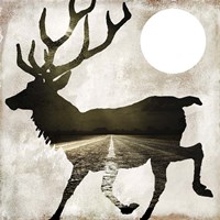 Going Wild I Fine Art Print