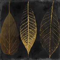Fallen Gold I Fine Art Print