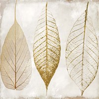 Fallen Gold II Fine Art Print