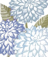 Sea Dahlias I Fine Art Print