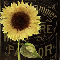 Sunflower Salon I Fine Art Print