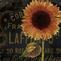 Sunflower Salon II Fine Art Print
