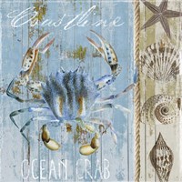 Blue Crab II Fine Art Print