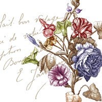 La Belle Vie II Fine Art Print