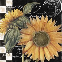 Late Summer II Fine Art Print