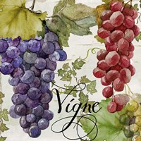 Wines of Paris I Fine Art Print