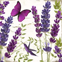 Lavande II Fine Art Print