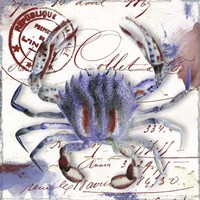 Oceania II Framed Print