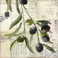 Olivia I Fine Art Print