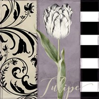 Modern Mauve II Fine Art Print