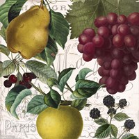 Fruit Bowl II Fine Art Print