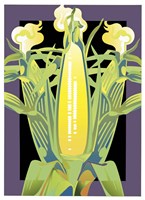 Corn Fine Art Print