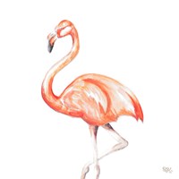 Flamingo Duo Square II Fine Art Print