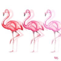 Flamingo Trio II Fine Art Print