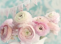 Ranunculus Party Fine Art Print