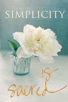 Spring Blossoms Fine Art Print