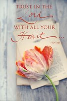 Trust in the Lord Fine Art Print