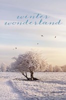 Winter Wonderland Fine Art Print