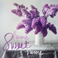 Home Sweet Home Fine Art Print