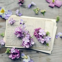 Final Air Mail Fine Art Print