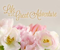 Life is a Great Adventure Fine Art Print