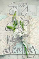 Say Yes To New Adventures (silver) Fine Art Print