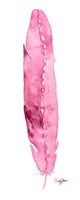 Pink Feather Fine Art Print