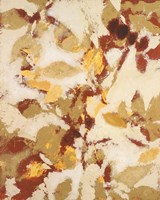 Sun-dazzled Branches I Framed Print