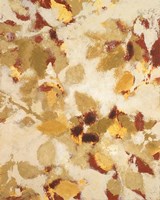 Sun-dazzled Branches II Framed Print