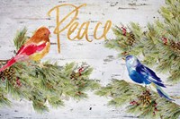 Holiday Peace Framed Print