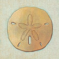 Coastal Treasures IV Fine Art Print