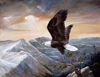 Eagle's Lair Fine Art Print