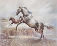 Wild Horses II Fine Art Print