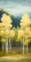 Birchwood II Fine Art Print