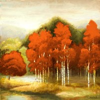 Autumn Birchwood I Fine Art Print