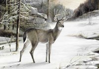 Snowy Mornings Fine Art Print