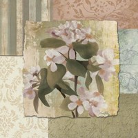 Botanical Blossom Fine Art Print
