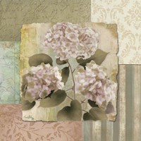 Botanical Hydrangeas Fine Art Print