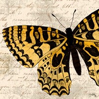 Golden Dreams I Fine Art Print