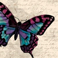 Jewel Dreams II Fine Art Print