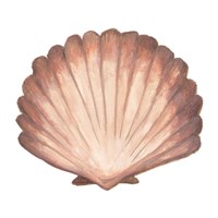 Coastal Modele Fine Art Print