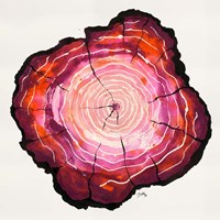 Colored Tree Trunk II Fine Art Print
